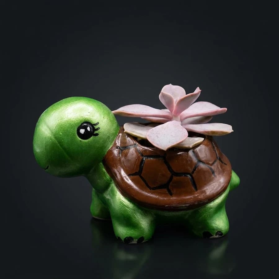 Tortuguita Zen: Maceta Decorativa con Suculenta